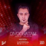 دانلود آهنگ جدید سعید تالشی به نام دیوونتم
